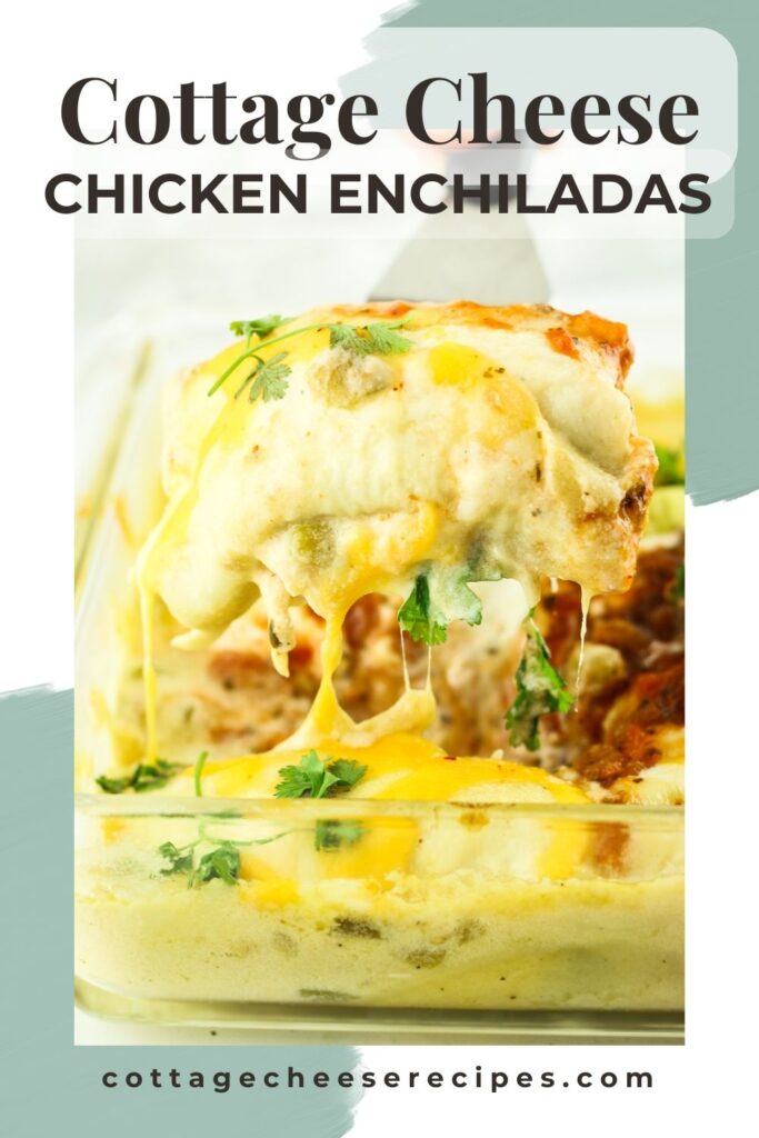 Chicken enchiladas with a creamy cottage cheese sauce.
